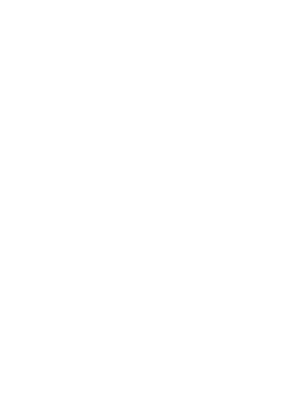 decorative overlay graphic